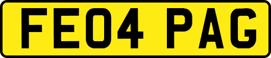 FE04PAG