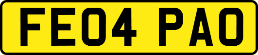 FE04PAO