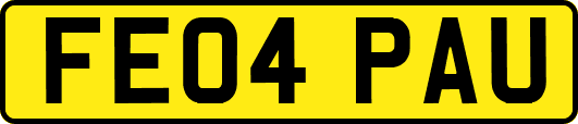 FE04PAU