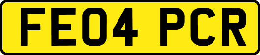 FE04PCR