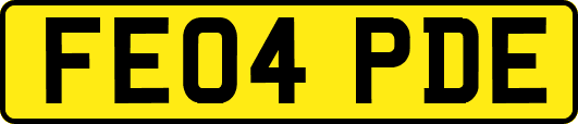 FE04PDE