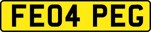 FE04PEG