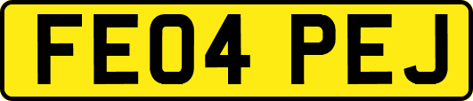 FE04PEJ