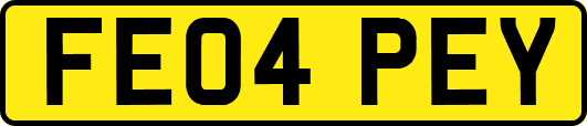 FE04PEY
