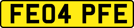 FE04PFE