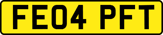 FE04PFT