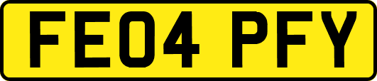 FE04PFY