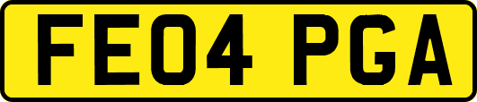 FE04PGA