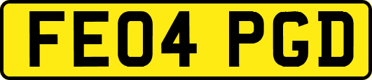FE04PGD