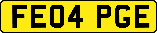 FE04PGE