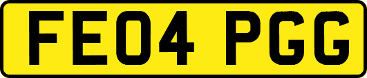 FE04PGG