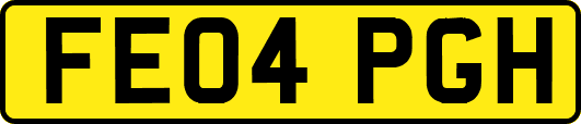 FE04PGH