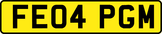 FE04PGM