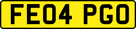 FE04PGO