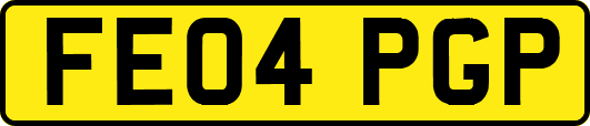 FE04PGP