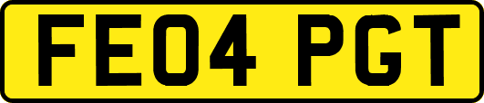 FE04PGT