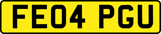 FE04PGU