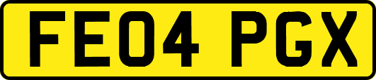 FE04PGX