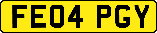 FE04PGY