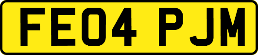FE04PJM