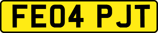 FE04PJT