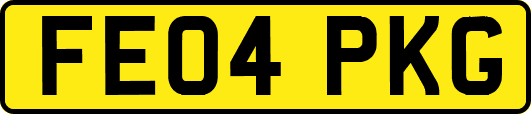 FE04PKG
