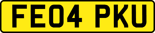 FE04PKU