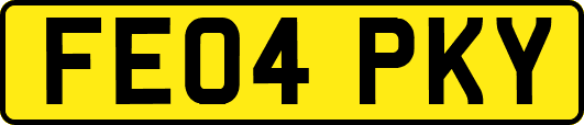 FE04PKY