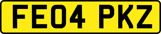 FE04PKZ