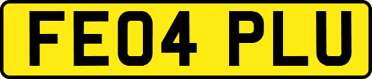 FE04PLU