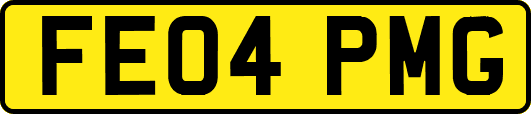 FE04PMG