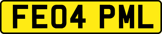 FE04PML