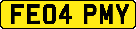 FE04PMY