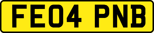 FE04PNB