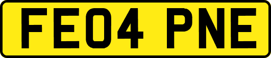 FE04PNE