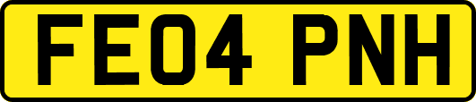 FE04PNH