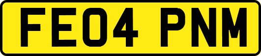 FE04PNM