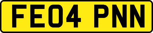 FE04PNN
