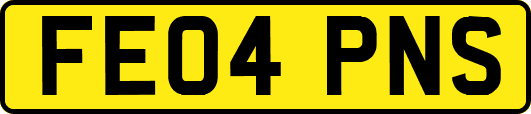 FE04PNS