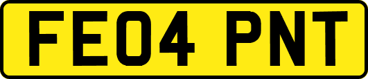FE04PNT