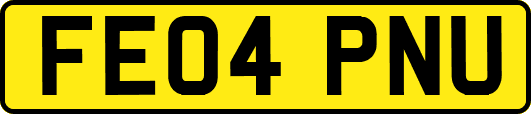 FE04PNU