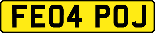 FE04POJ