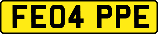 FE04PPE