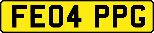 FE04PPG