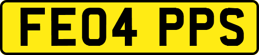 FE04PPS