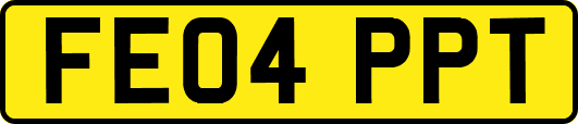 FE04PPT