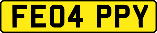 FE04PPY