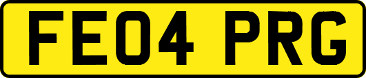 FE04PRG