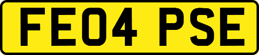 FE04PSE