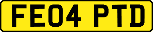 FE04PTD